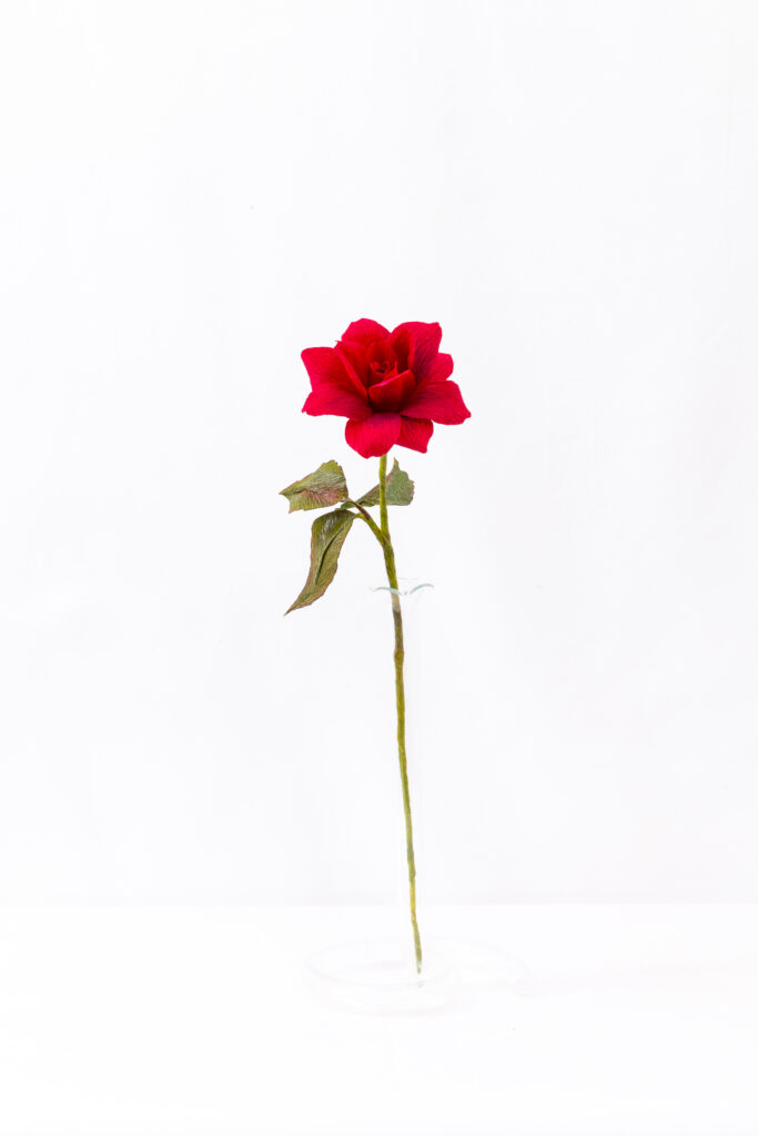 Red tea rose with a hand-dyed bloom and bronze-green leaves in a glass bud vase