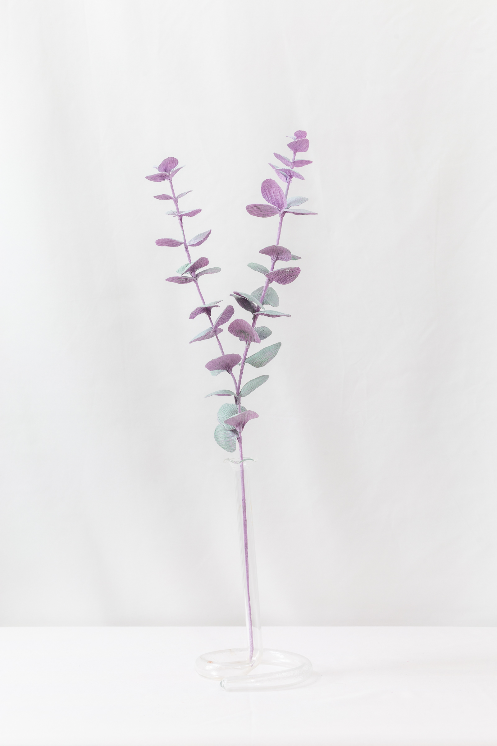 Eucalyptus (Opaline)