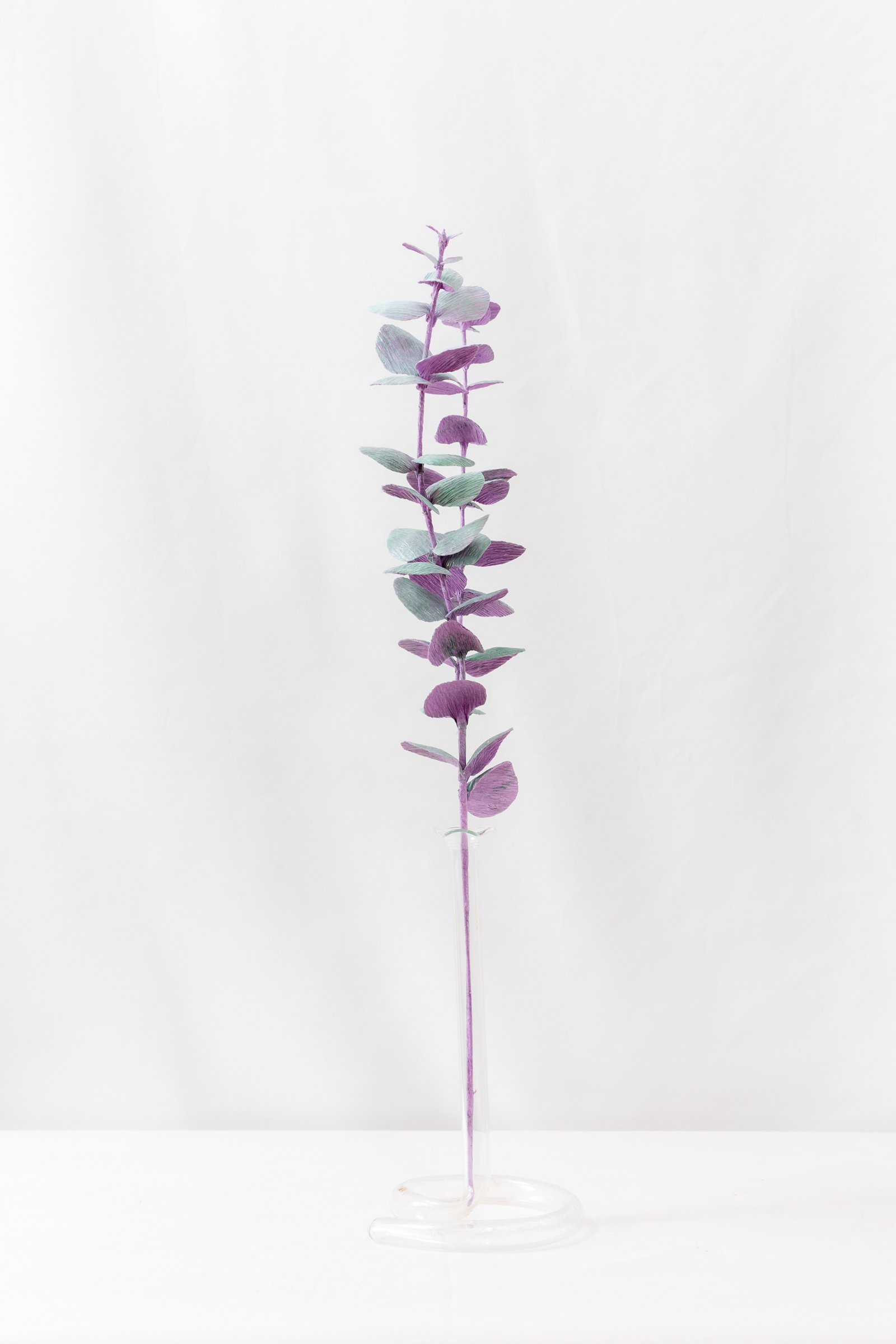 Eucalyptus (Opaline) - Image 5