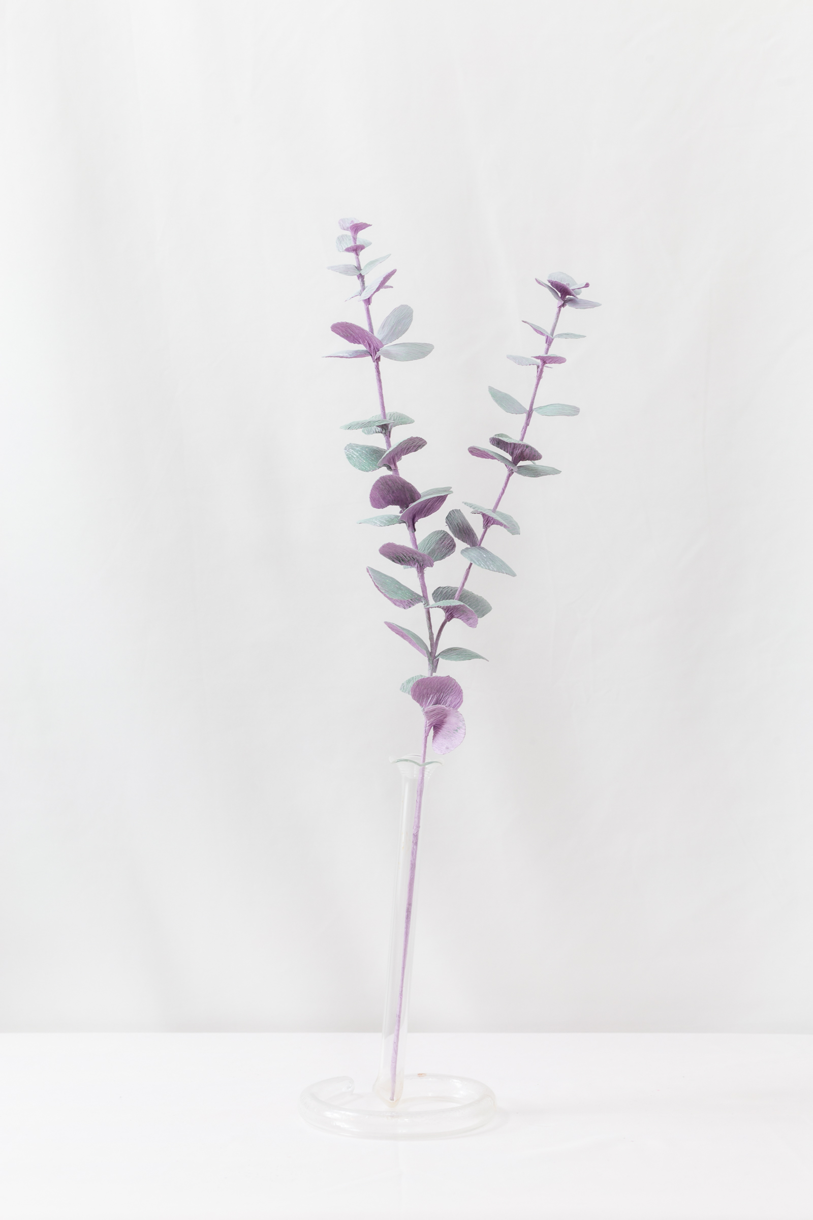 Eucalyptus (Opaline) - Image 3