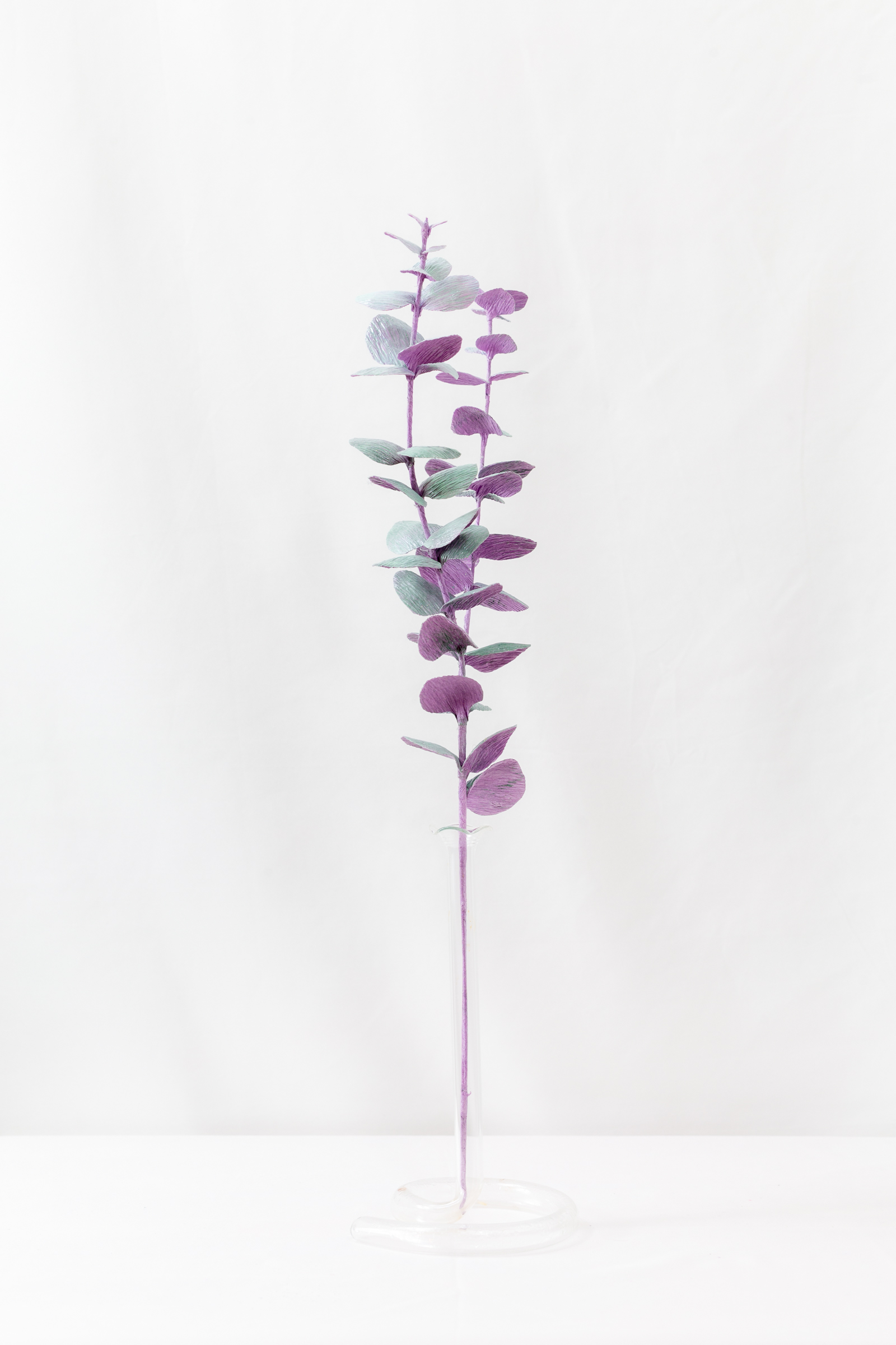 Eucalyptus (Opaline) - Image 4