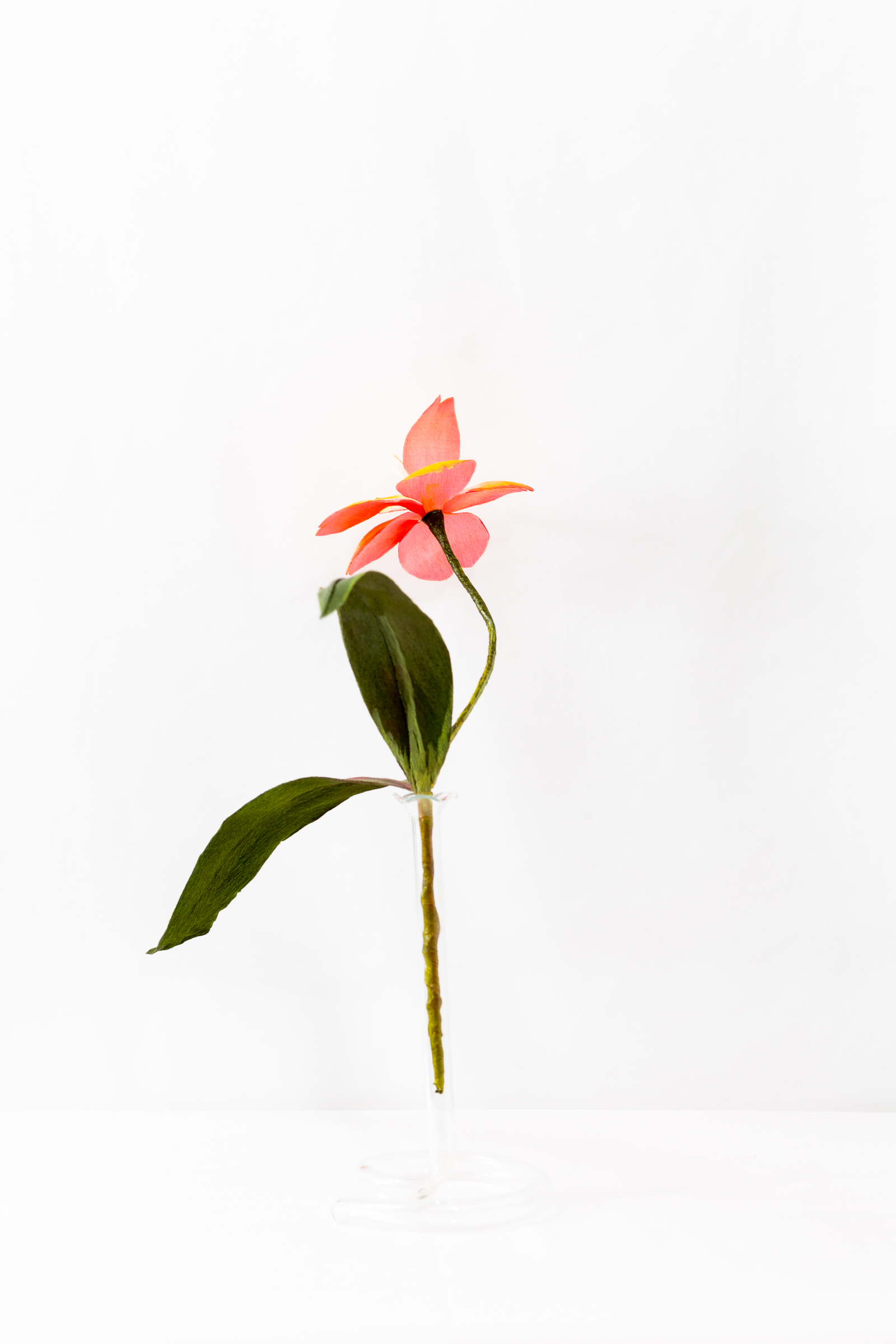 Lily (Wayfarer) - Image 3