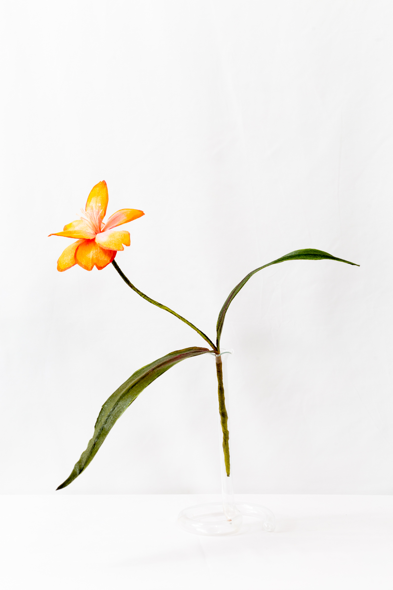 Lily (Wayfarer) - Image 4
