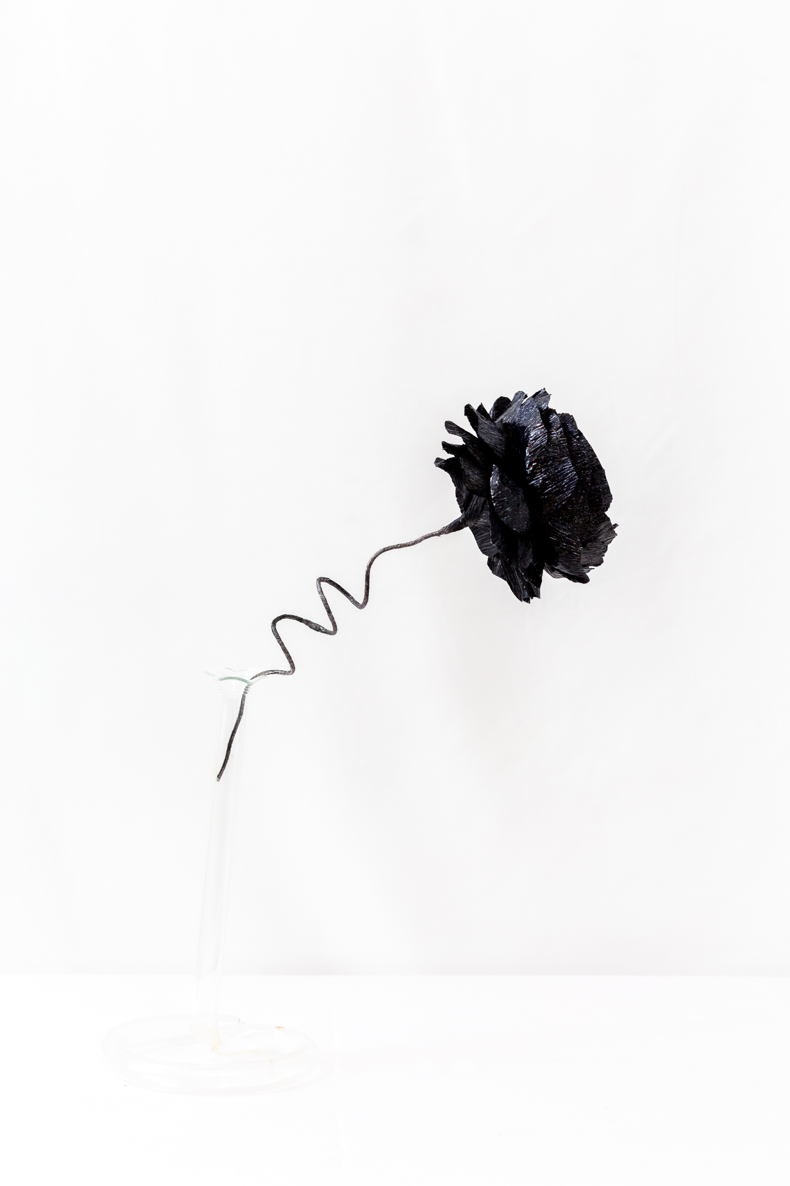 Ranunculus (Black Hole) - Image 3
