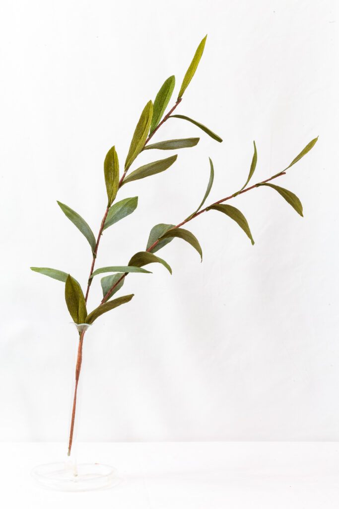 Everbloom paper olive branch — crepe paper leaves in sage and silver-green on a hand-wrapped stem, in a glass bud vase