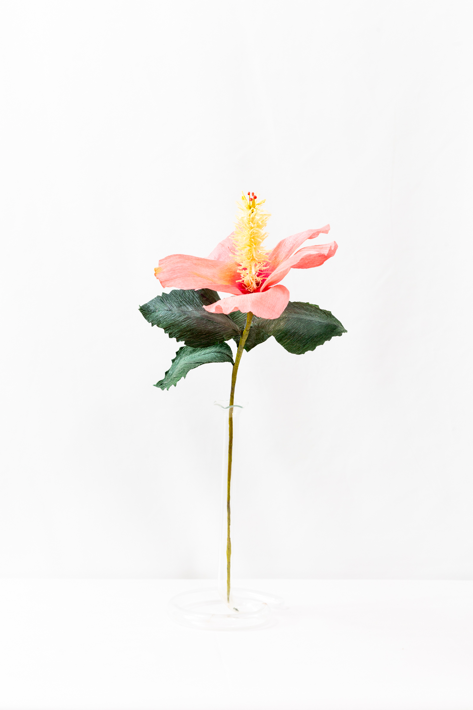 Coral hibiscus with hand-dyed petals and a long fringed yellow staminal column