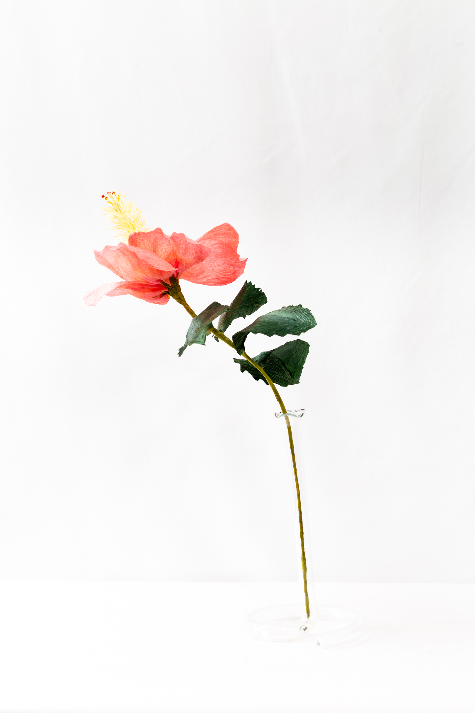 Coral hibiscus with hand-dyed petals and a long fringed yellow staminal column