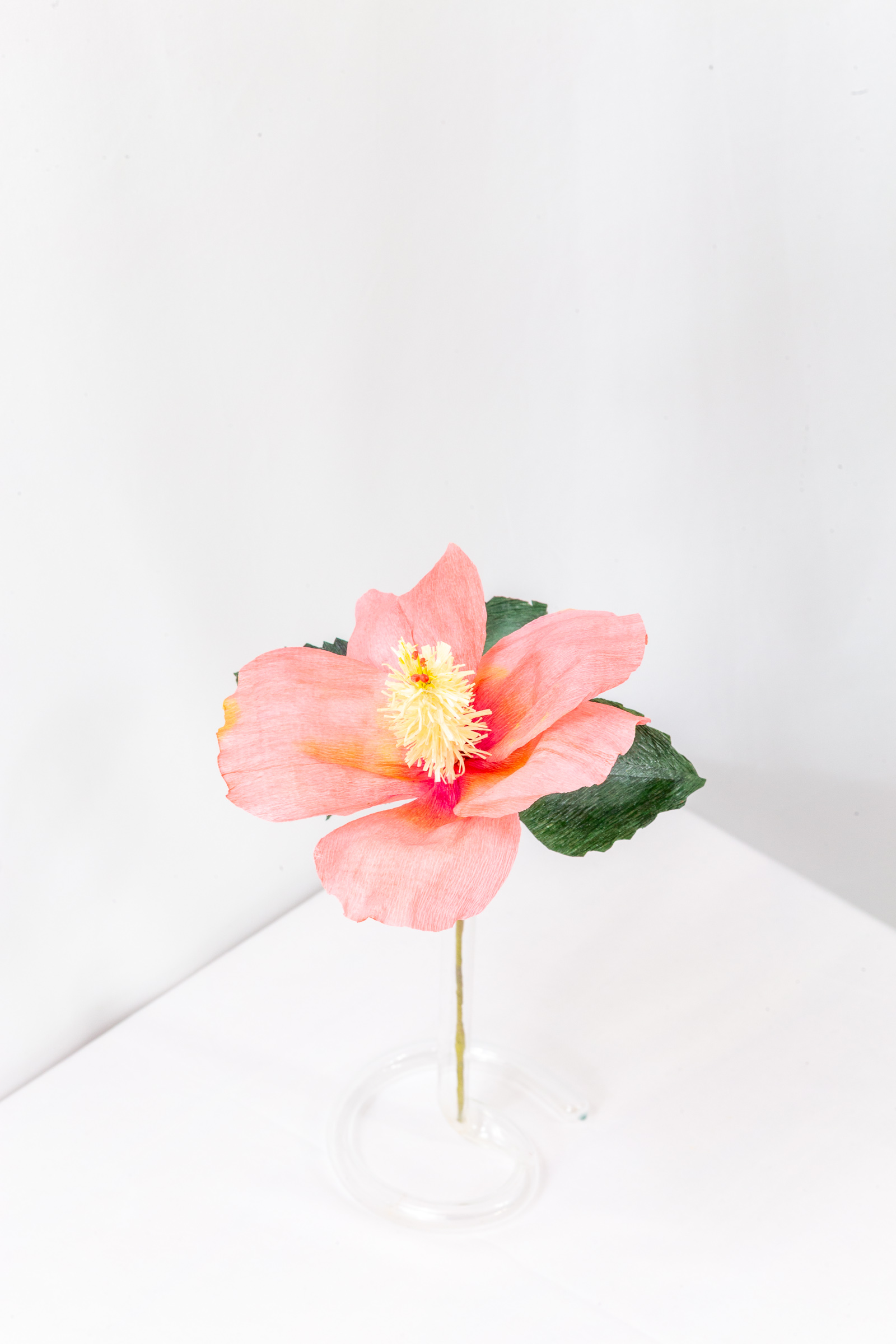 Coral hibiscus with hand-dyed petals and a long fringed yellow staminal column