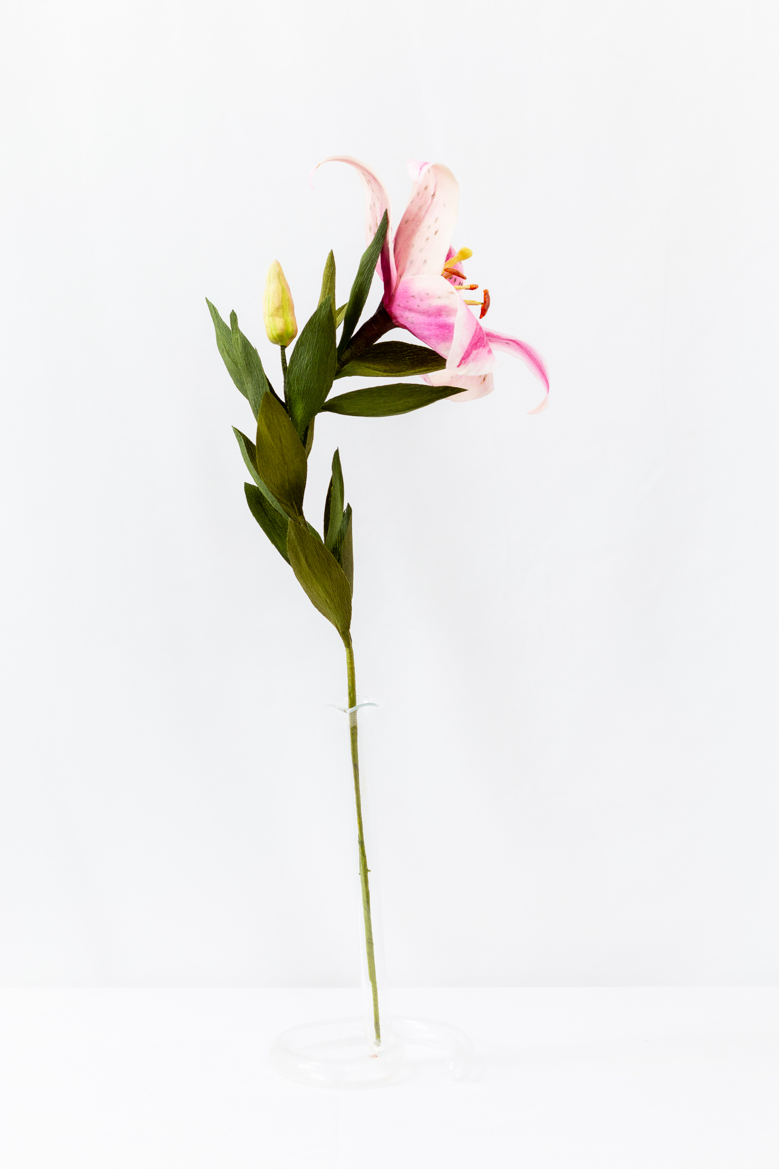 Stargazer lily with hand-dyed pink petals, dark freckles, and a green bud on the stem