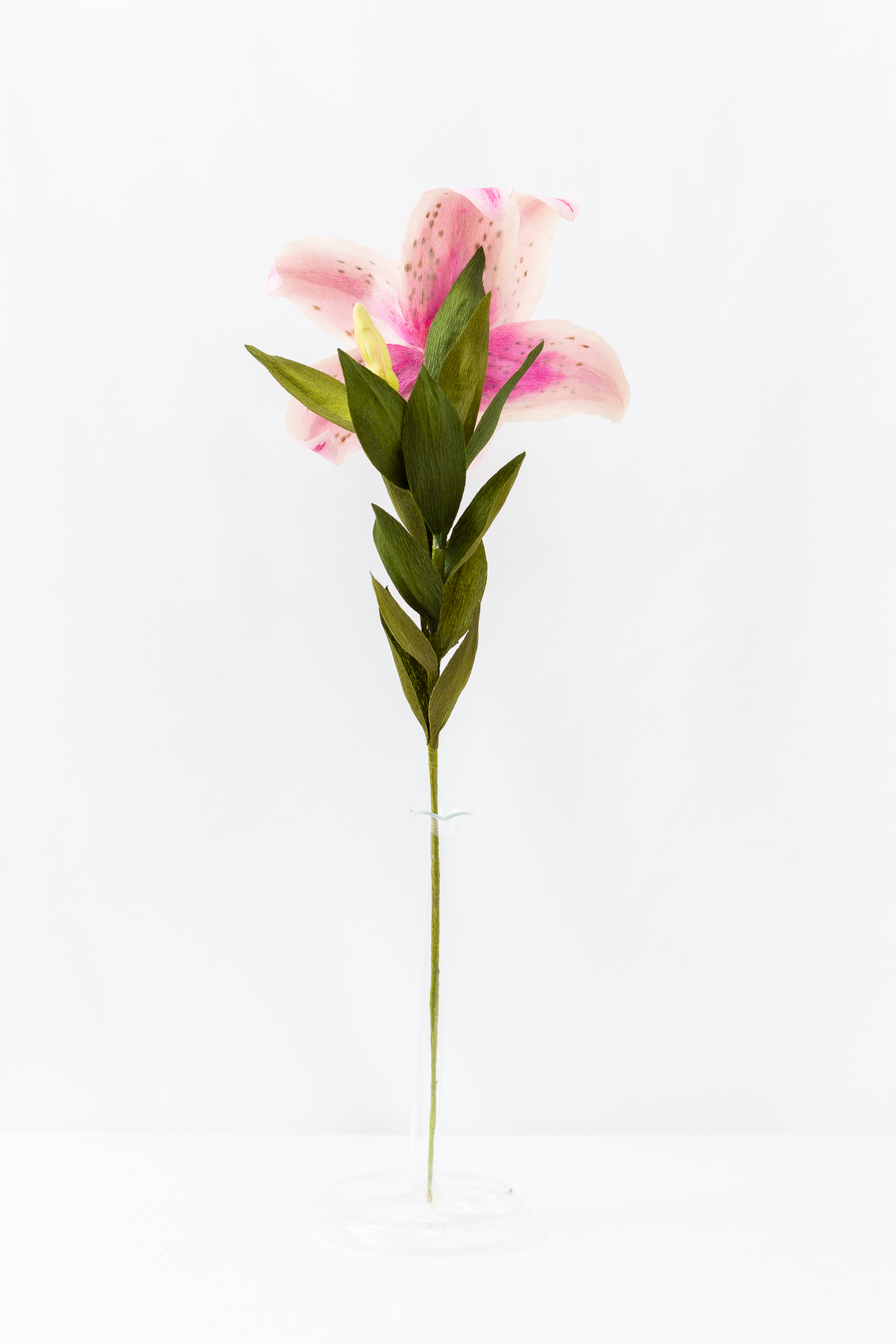 Stargazer lily with hand-dyed pink petals, dark freckles, and a green bud on the stem