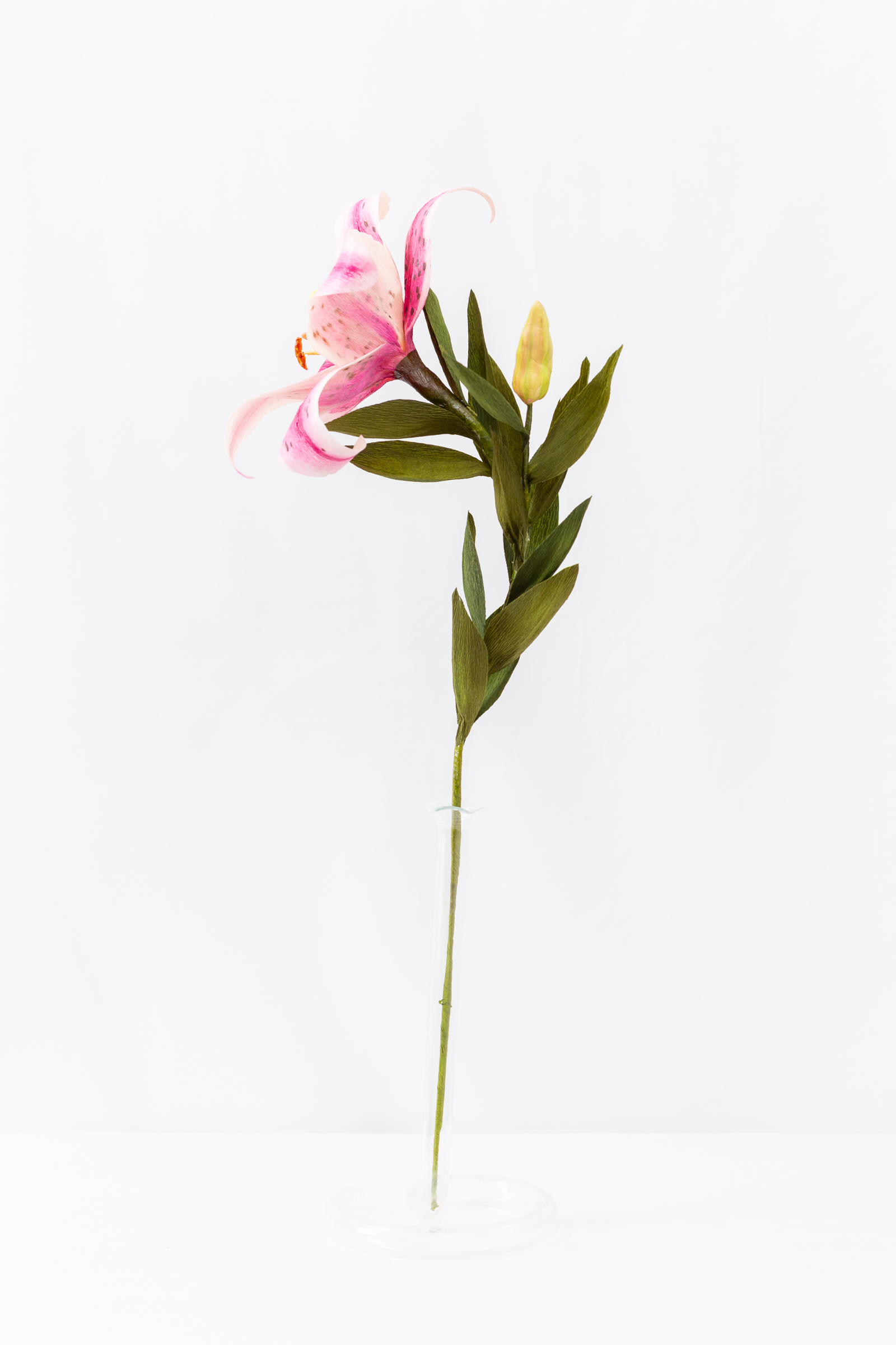 Stargazer lily with hand-dyed pink petals, dark freckles, and a green bud on the stem