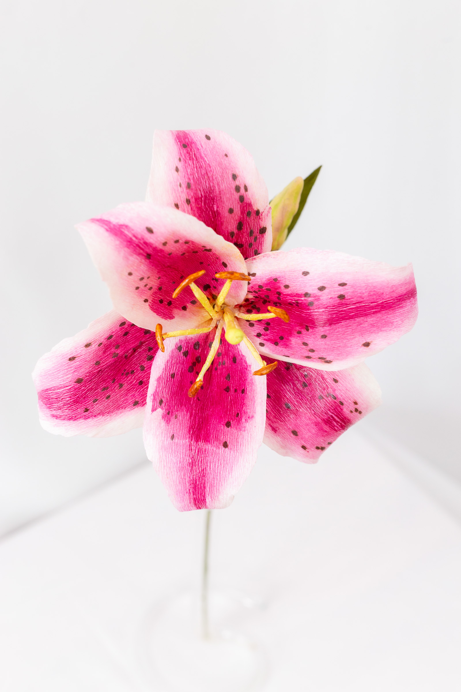 Stargazer lily with hand-dyed pink petals, dark freckles, and a green bud on the stem