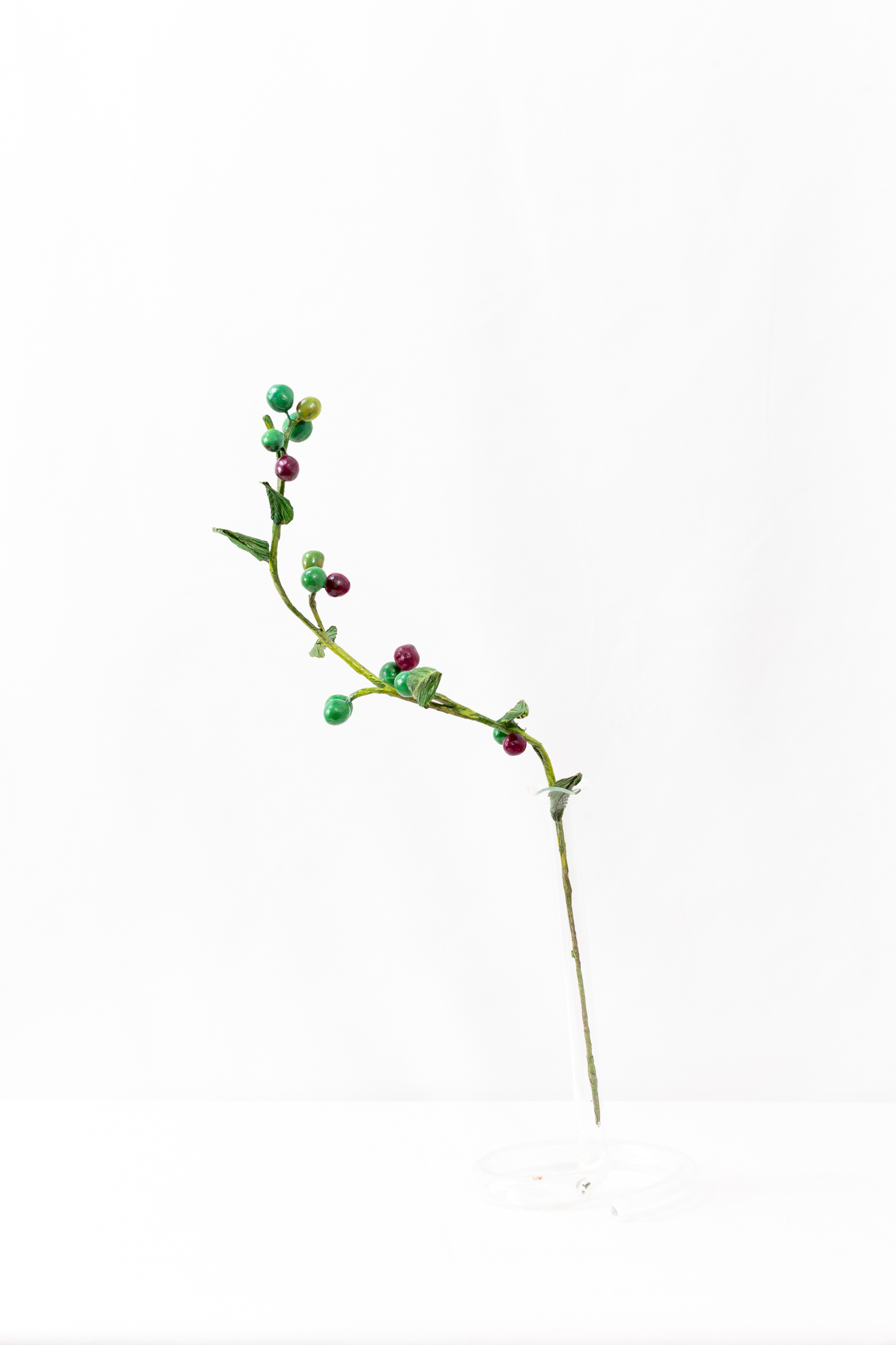 Midsummer Chokeberry branch with berries at green, turning, and ripe stages