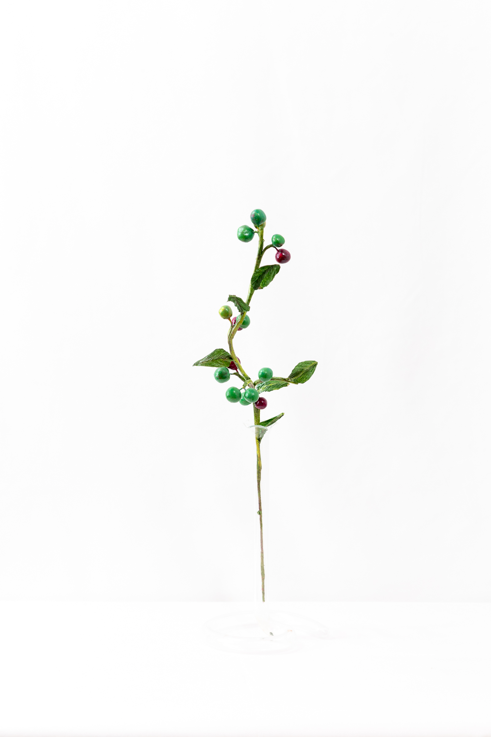Midsummer Chokeberry branch with berries at green, turning, and ripe stages
