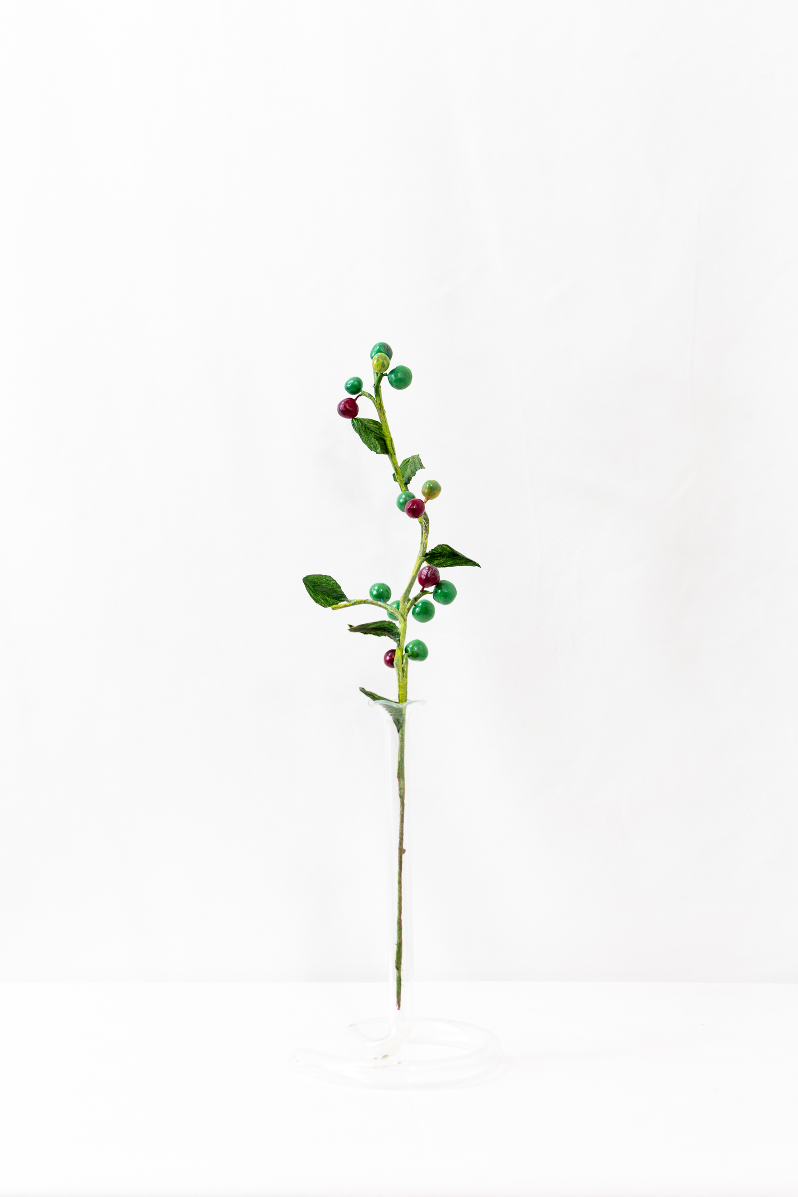 Midsummer Chokeberry branch with berries at green, turning, and ripe stages