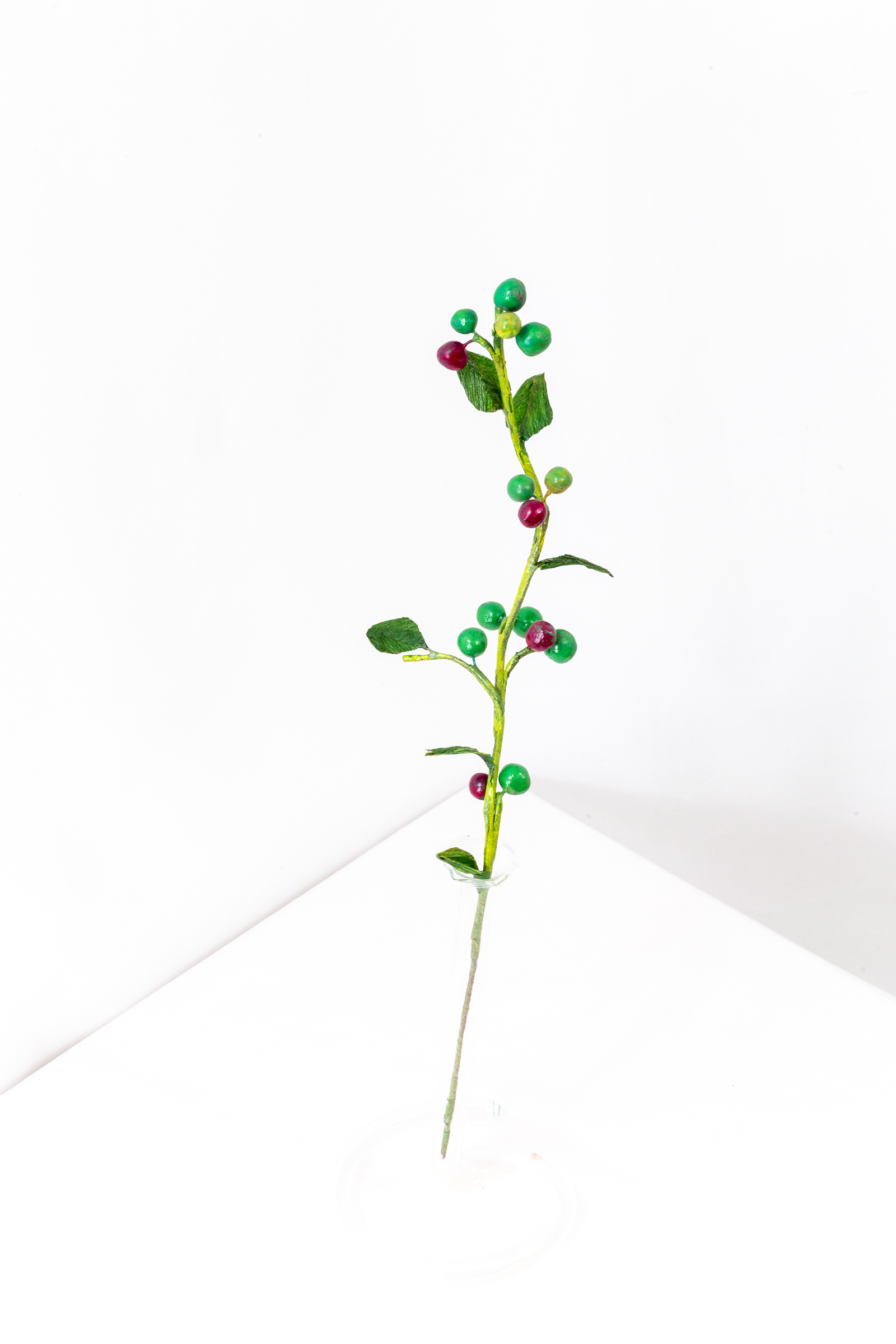 Midsummer Chokeberry branch with berries at green, turning, and ripe stages