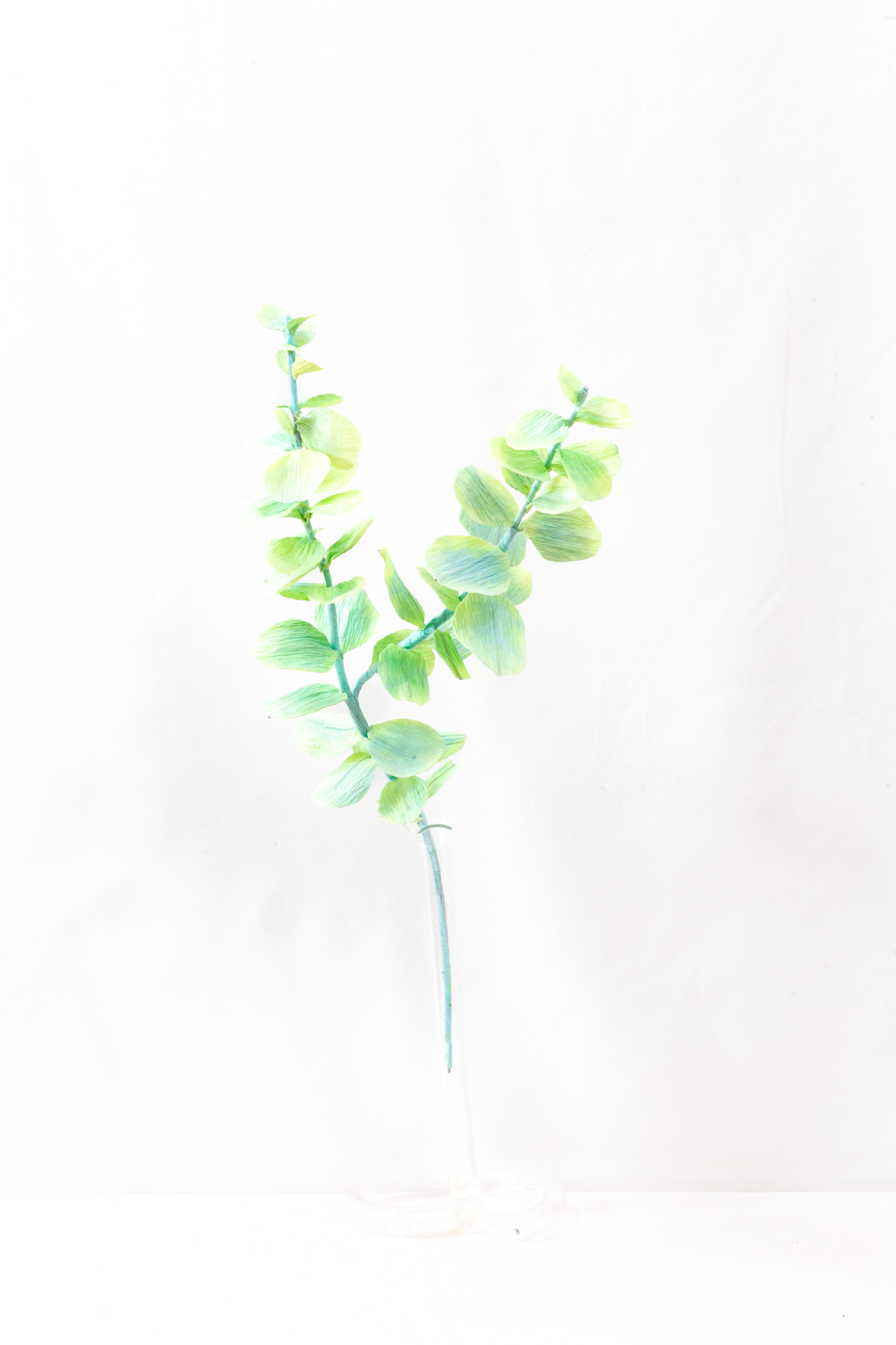 Two stems of mint and lime green paper eucalyptus with round leaves in a glass bud vase