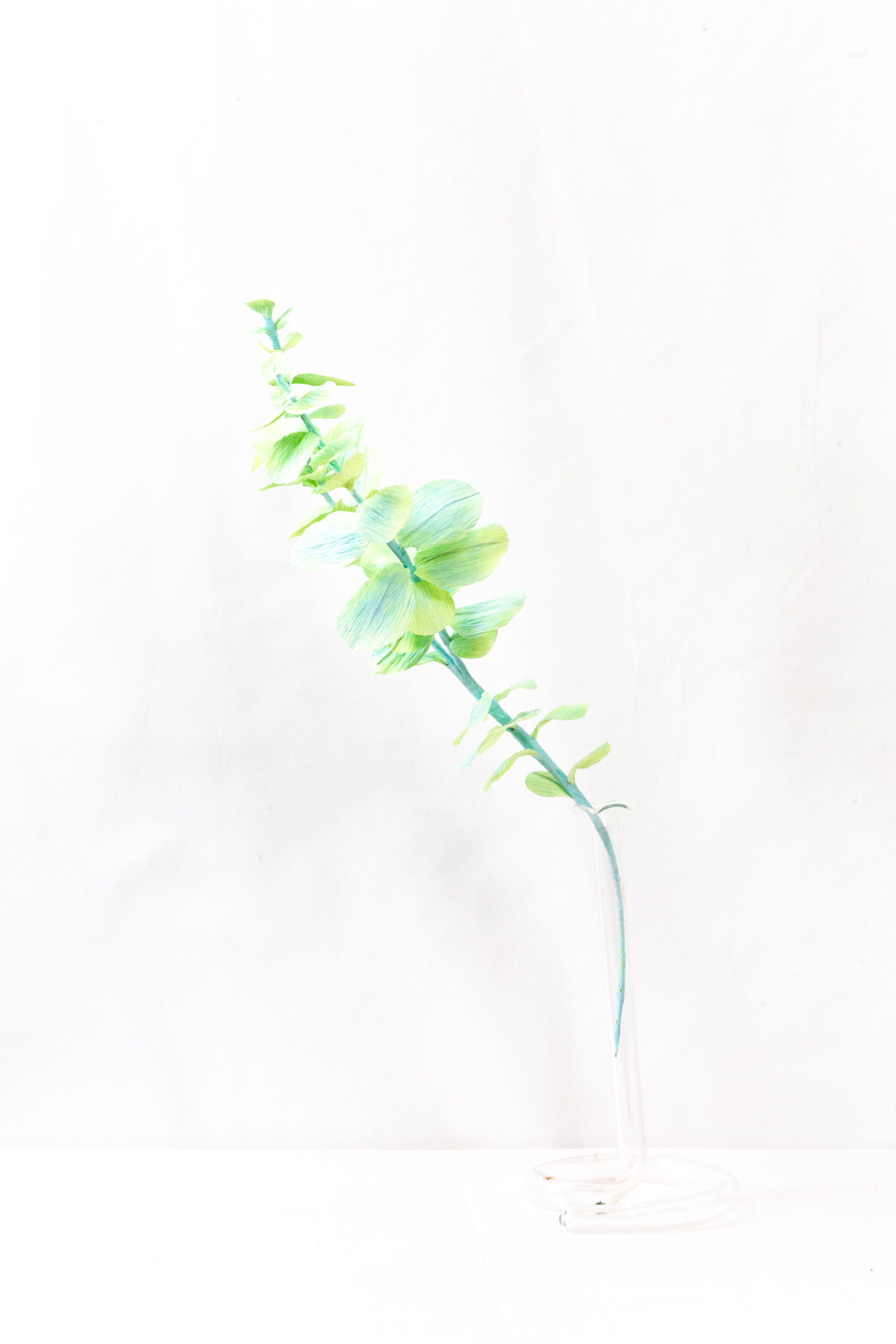 Two stems of mint and lime green paper eucalyptus with round leaves in a glass bud vase