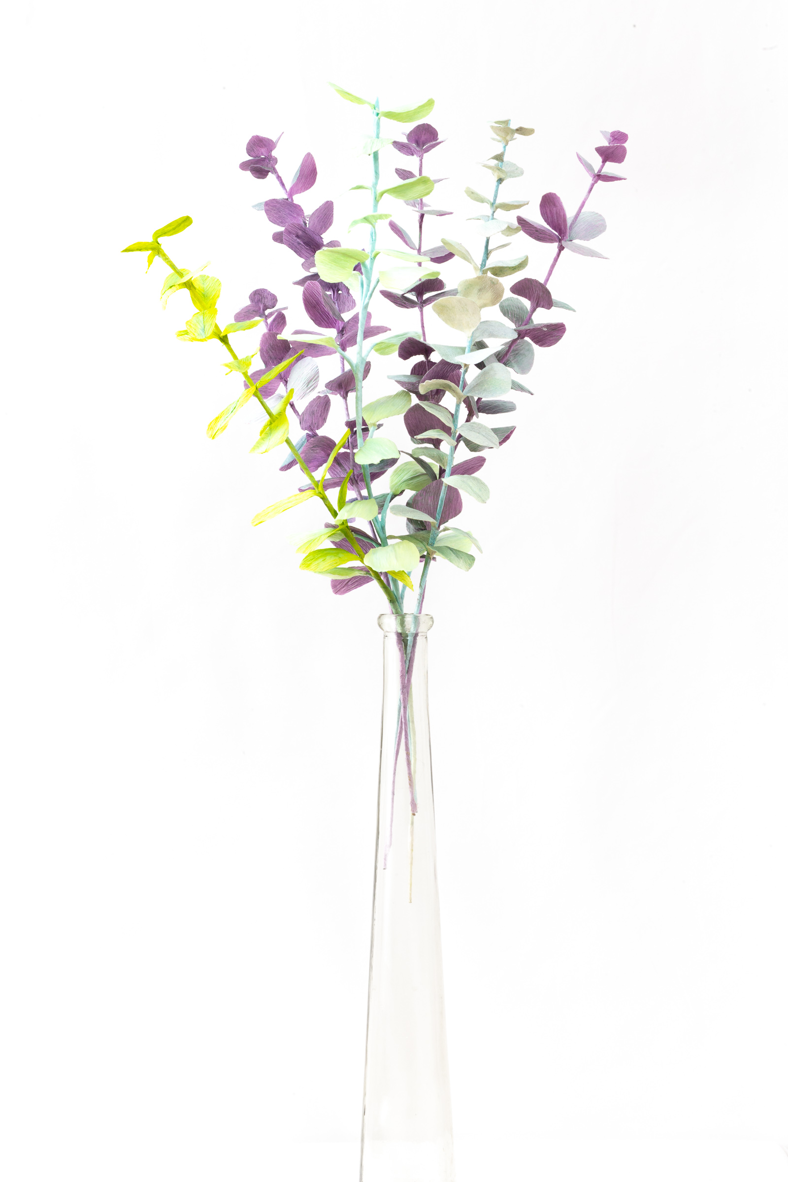Bunch of paper eucalyptus stems in purple, mint, lime, and sage in a tall glass vase
