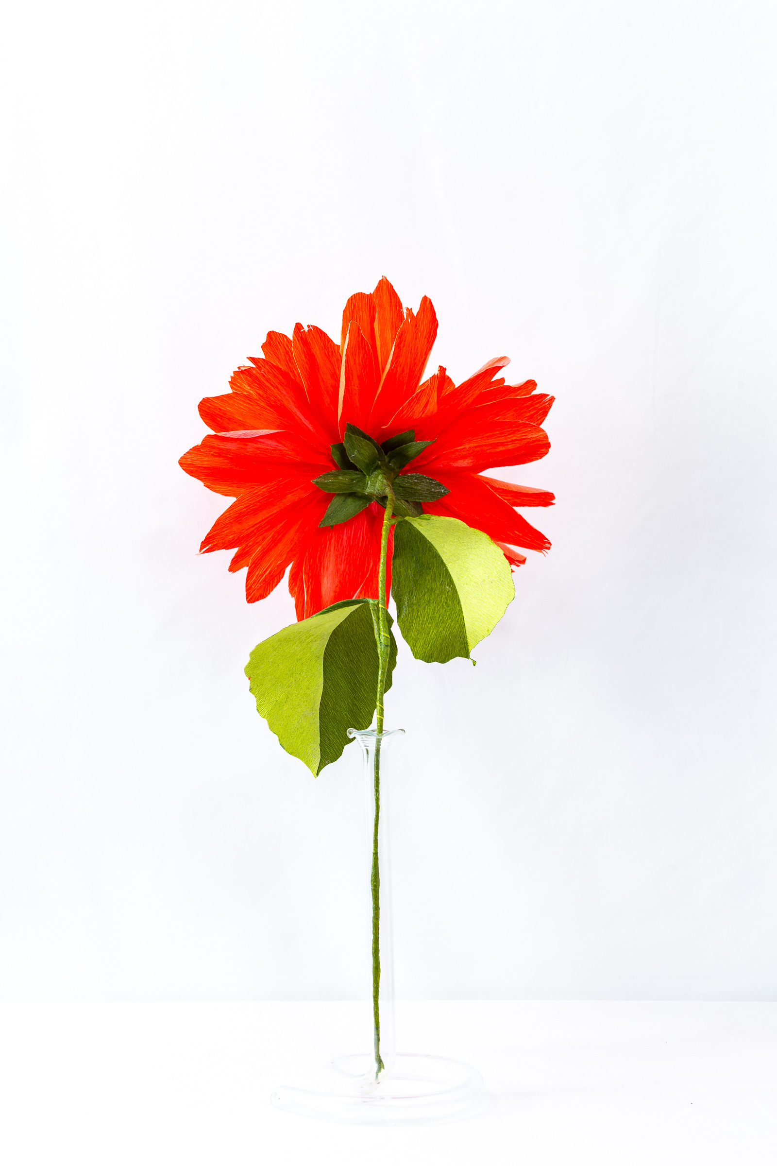Coral and orange dinner plate dahlia with layered hand-dyed petals and a tight magenta ball center
