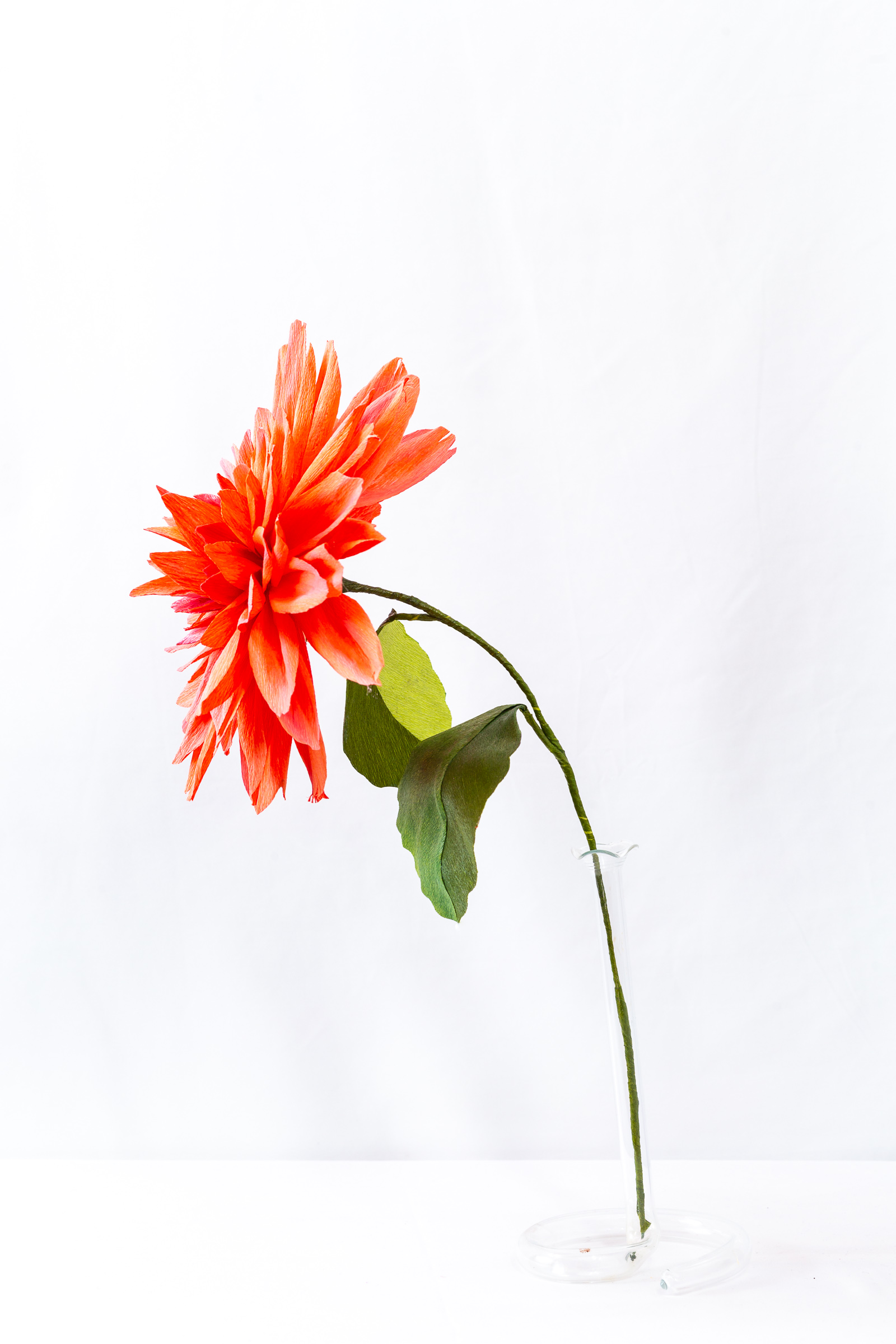 Coral and orange dinner plate dahlia with layered hand-dyed petals and a tight magenta ball center