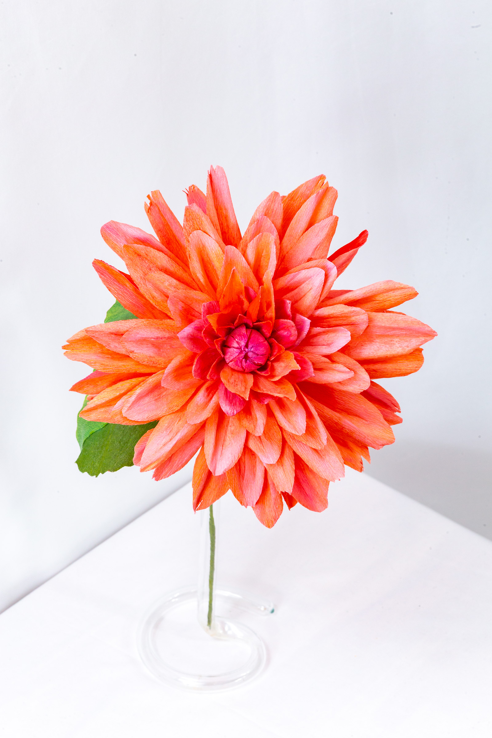 Coral and orange dinner plate dahlia with layered hand-dyed petals and a tight magenta ball center
