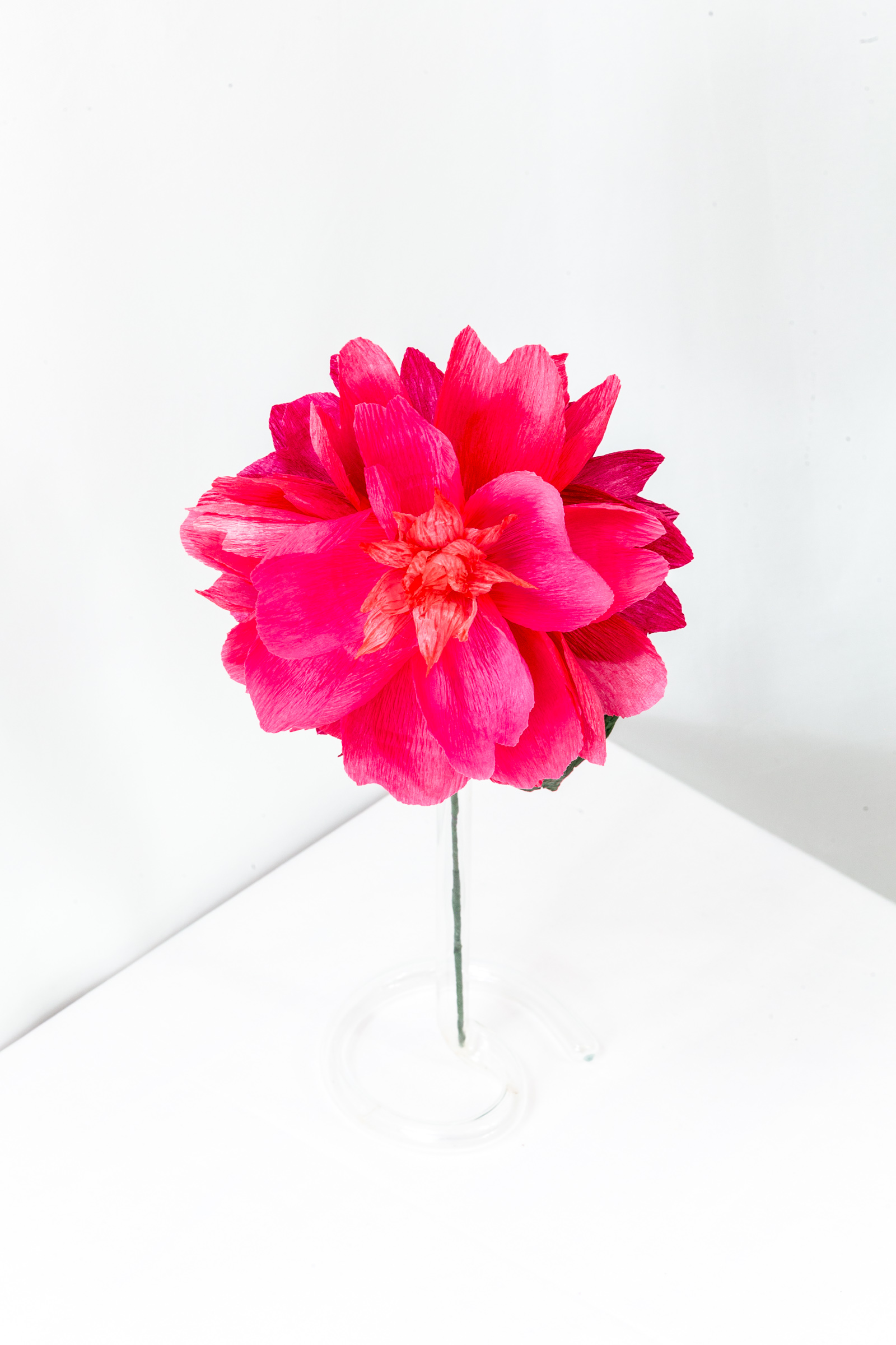 Felix Crousse peony with layered hot pink hand-dyed petals and a crumpled coral center on a green stem