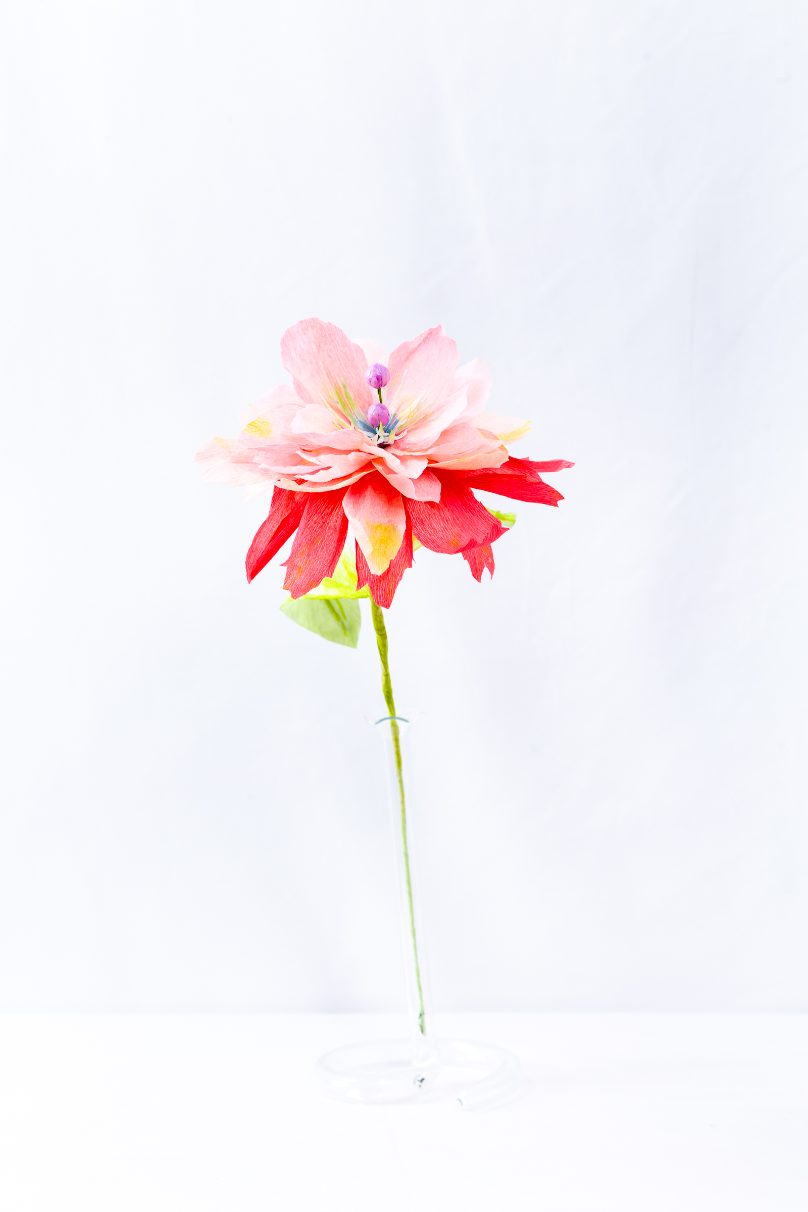 Moonberry Peony with hand-dyed red and peach petals and two lavender orbs rising from the center